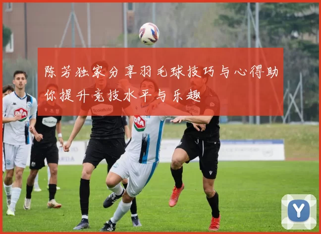 陈芳独家分享羽毛球技巧与心得助你提升竞技水平与乐趣