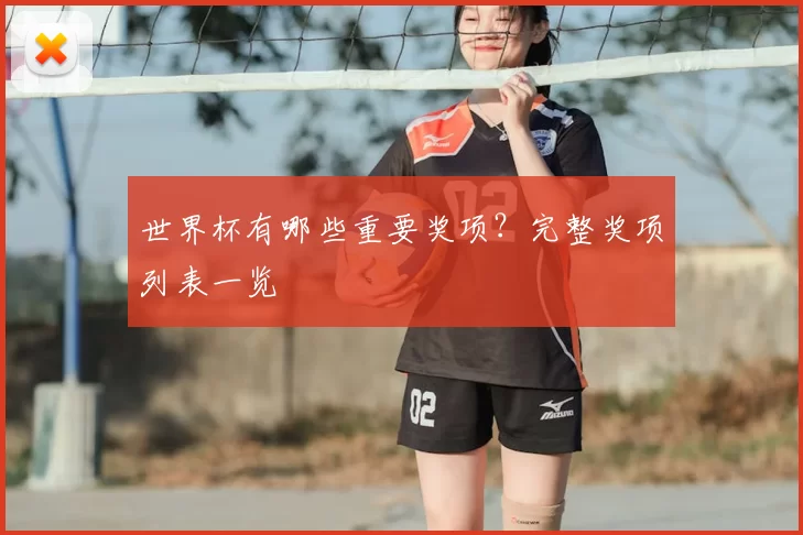 世界杯有哪些重要奖项？完整奖项列表一览