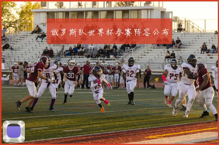 俄罗斯队世界杯参赛阵容公布