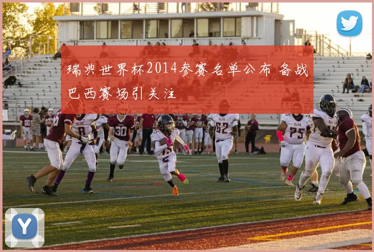 瑞典世界杯2014参赛名单公布 备战巴西赛场引关注