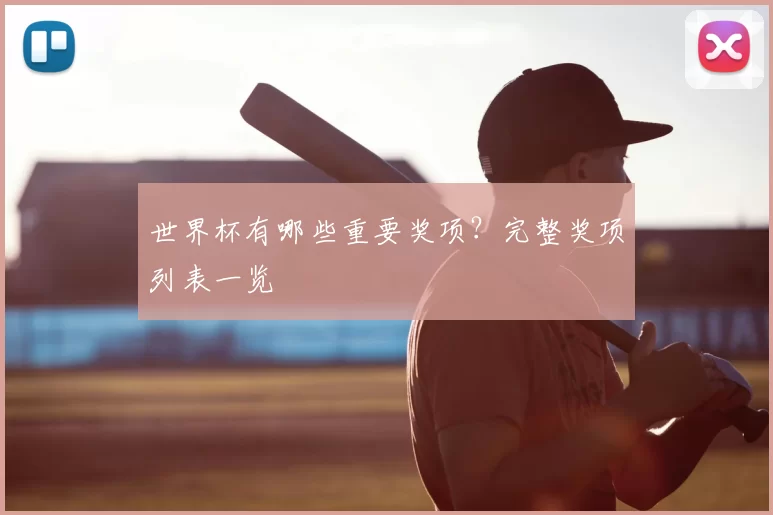世界杯有哪些重要奖项？完整奖项列表一览