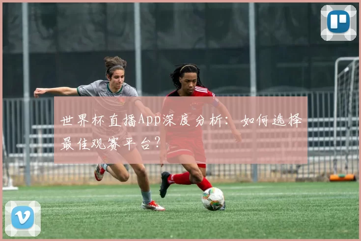世界杯直播App深度分析:如何选择最佳观赛平台?