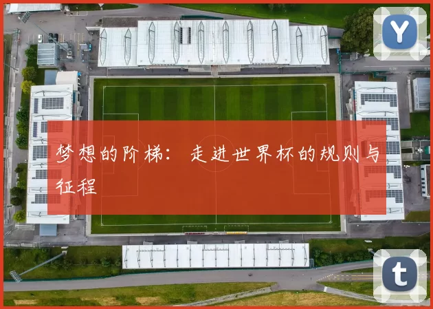 梦想的阶梯:走进世界杯的规则与征程