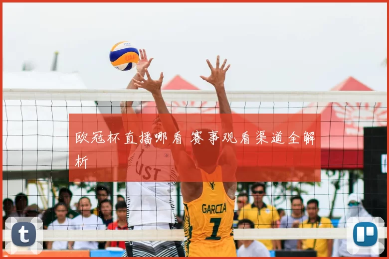 欧冠杯直播哪看 赛事观看渠道全解析