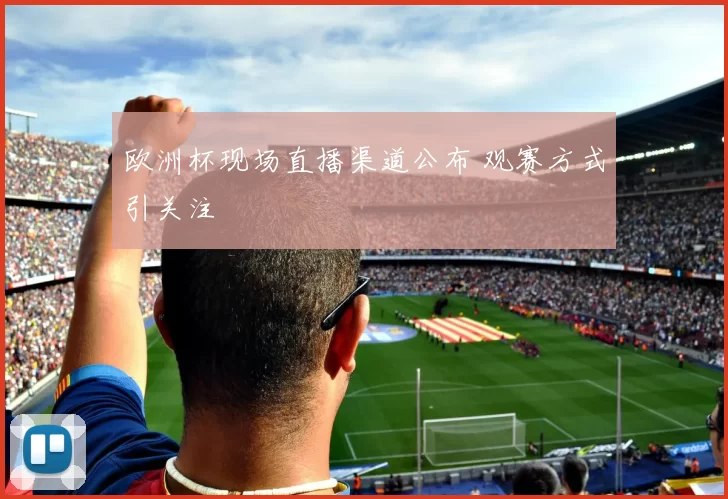 欧洲杯现场直播渠道公布 观赛方式引关注