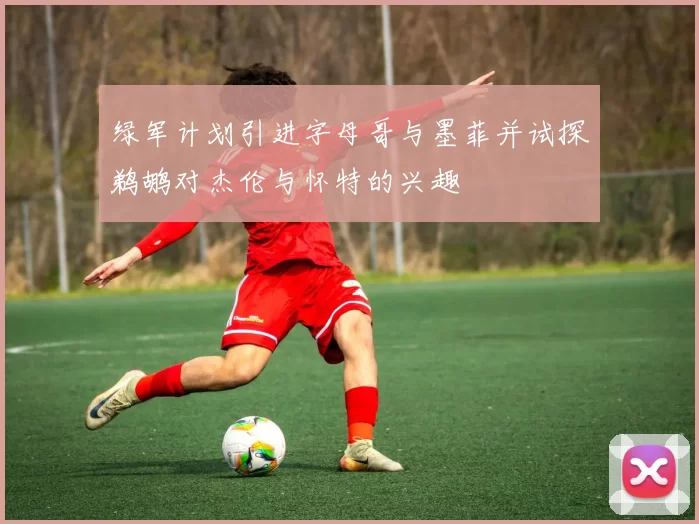 绿军计划引进字母哥与墨菲并试探鹈鹕对杰伦与怀特的兴趣