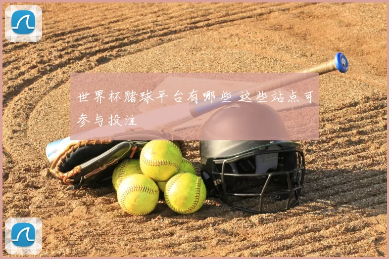 世界杯赌球平台有哪些 这些站点可参与投注