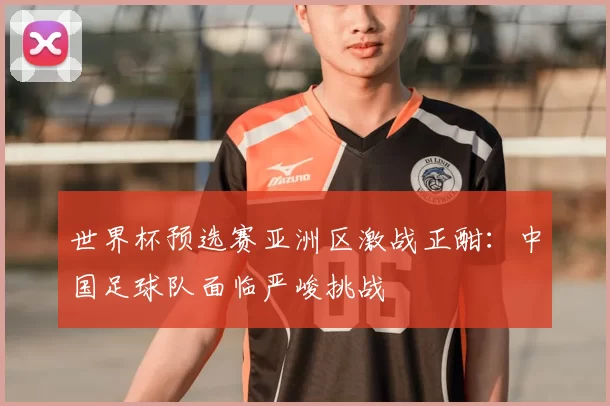 世界杯预选赛亚洲区激战正酣：中国足球队面临严峻挑战