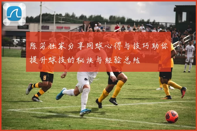 陈芳独家分享网球心得与技巧助你提升球技的秘诀与经验总结