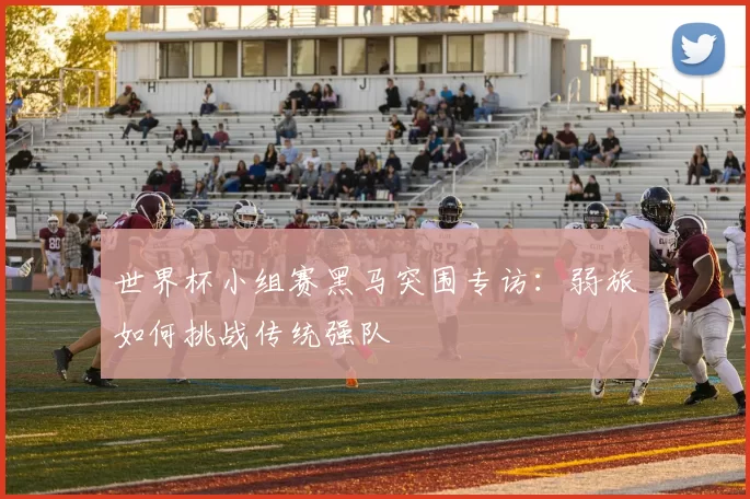 世界杯小组赛黑马突围专访：弱旅如何挑战传统强队