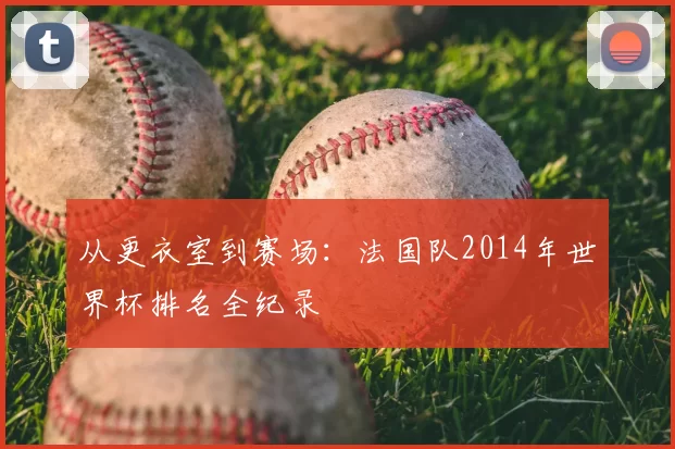 从更衣室到赛场：法国队2014年世界杯排名全纪录
