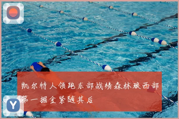 凯尔特人领跑东部战绩森林狼西部第一掘金紧随其后