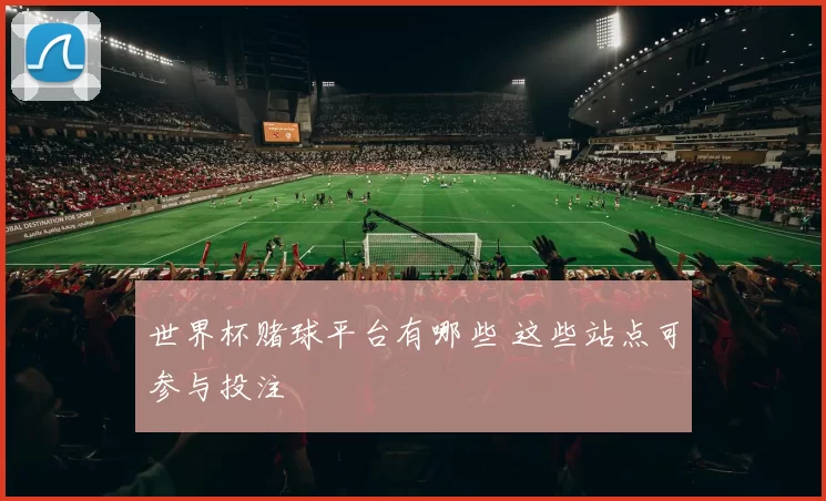世界杯赌球平台有哪些 这些站点可参与投注