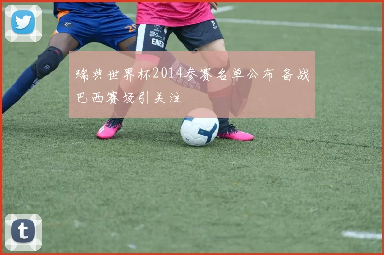 瑞典世界杯2014参赛名单公布 备战巴西赛场引关注