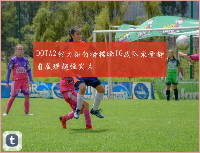 DOTA2耐力排行榜揭晓IG战队荣登榜首展现超强实力