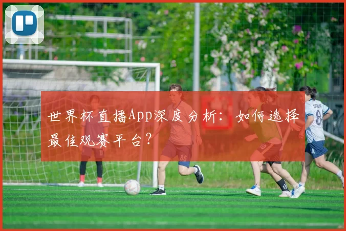 世界杯直播App深度分析：如何选择最佳观赛平台？