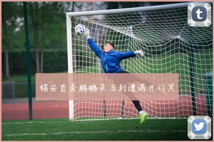 锡安首秀鹈鹕负马刺遭遇开门黑