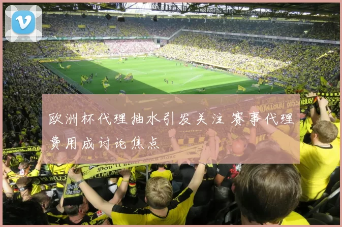 欧洲杯代理抽水引发关注 赛事代理费用成讨论焦点