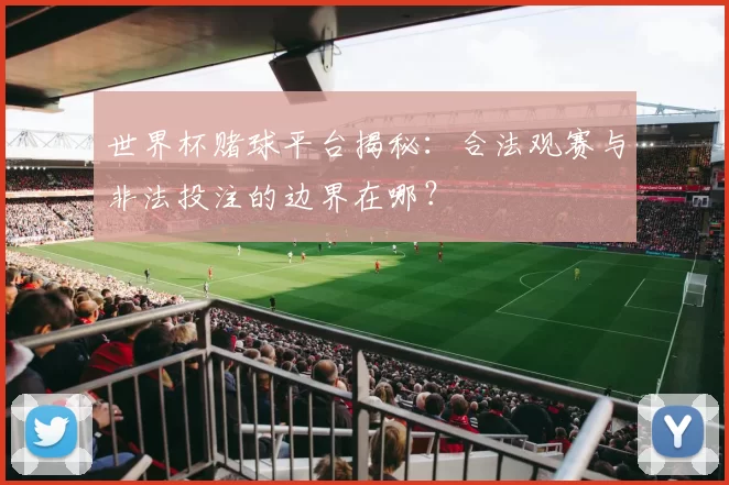 世界杯赌球平台揭秘：合法观赛与非法投注的边界在哪？